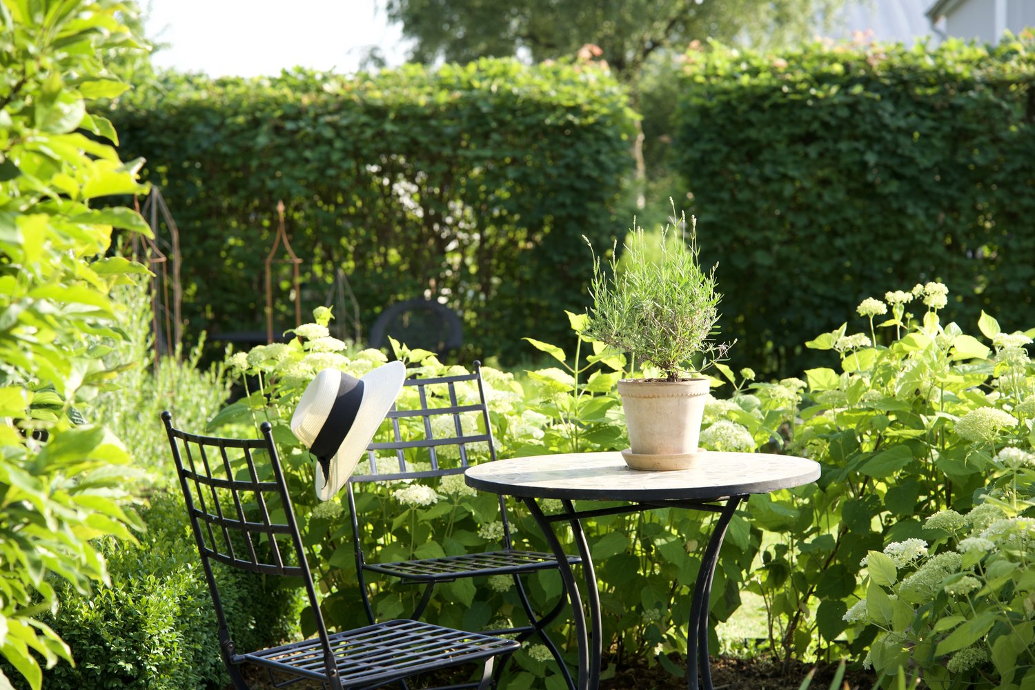 Villa Sollids trädgård med smidesstol, halmhatt och terrakottakruka bland sommargrönska