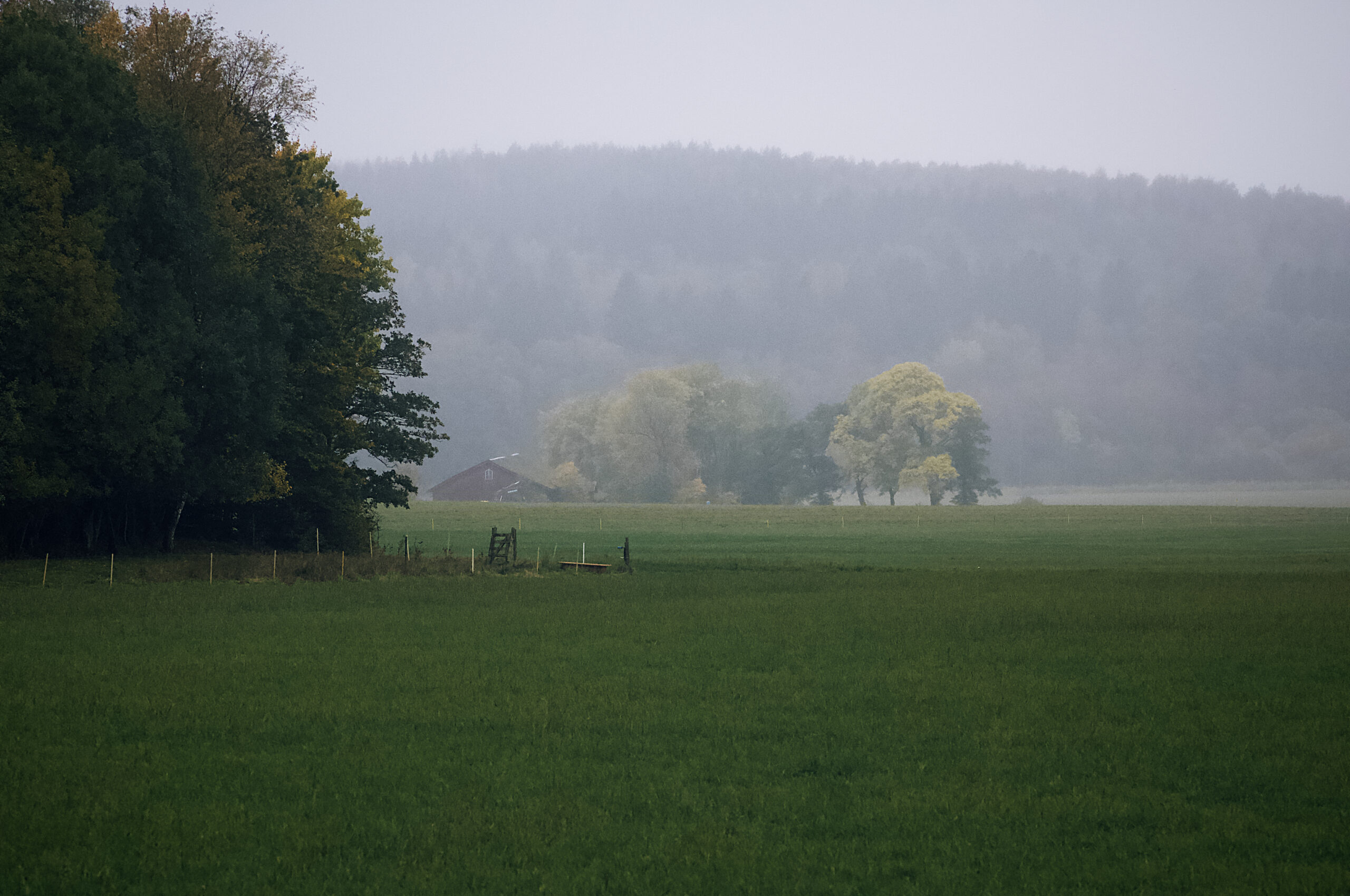 Vackra oktober