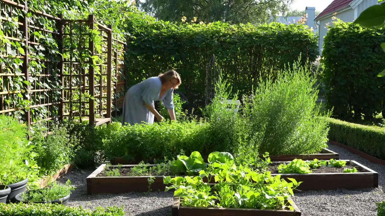03 villa sollid oregano tradgarden